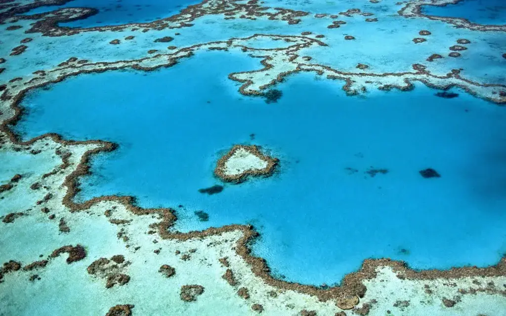 Barrier Reef 