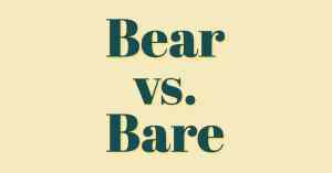 Bear or Bare word graphic