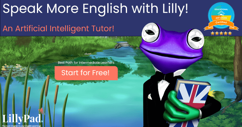 lillypad language learning app big box